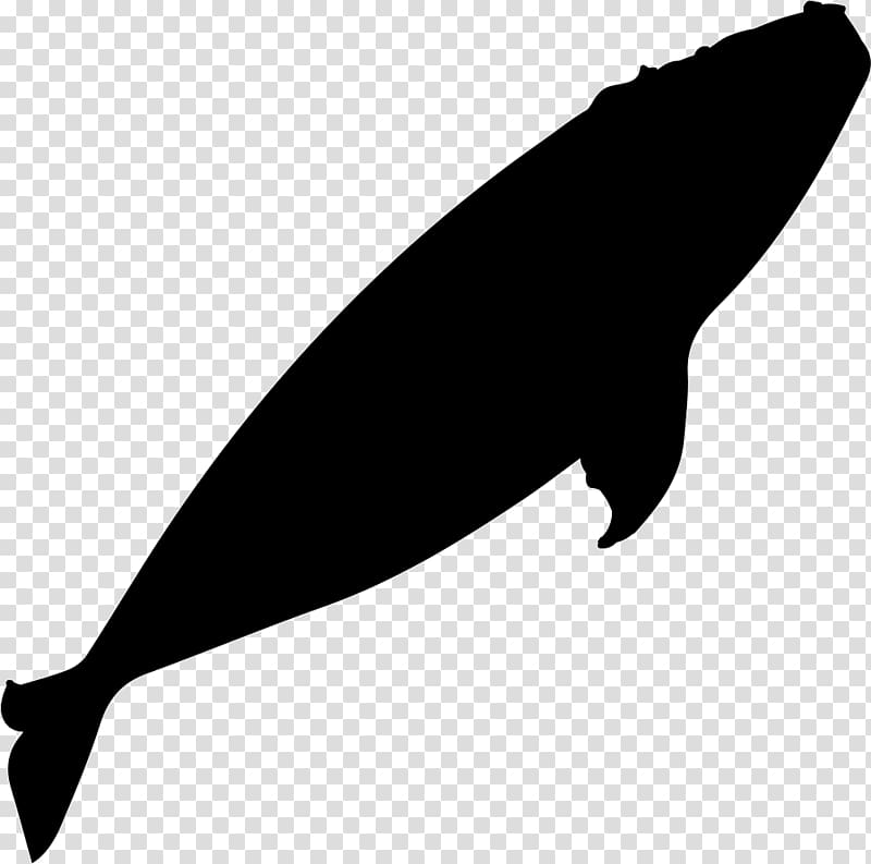 Southern right whale Whale watching Silhouette, whale transparent background PNG clipart