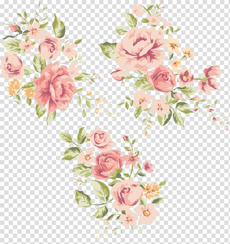 Garden roses Cabbage rose Floral design Cut flowers, design transparent background PNG clipart