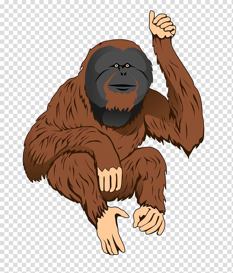Bornean orangutan Sumatran orangutan Ape , Cartoon Orangutan transparent background PNG clipart
