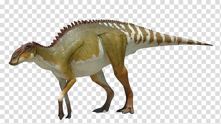 Edmontosaurus Brachylophosaurus Shantungosaurus Lambeosaurus Maiasaura, jurassic world evolution allosaurus transparent background PNG clipart