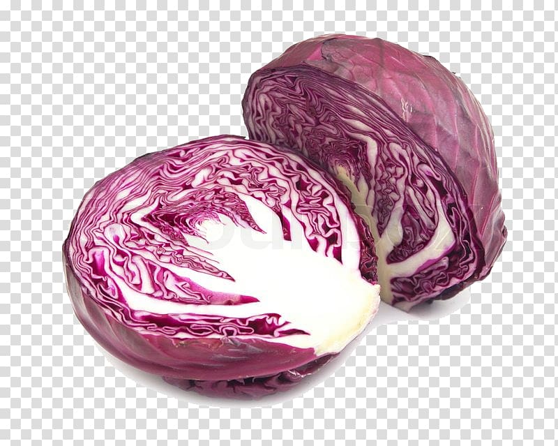 Red cabbage Purple Cauliflower , cabbage transparent background PNG clipart
