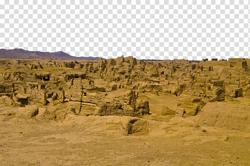 Gobi Desert Tarim Basin Camel, Yellow Gobi belt transparent background PNG clipart