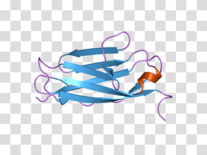 Line , design transparent background PNG clipart thumbnail