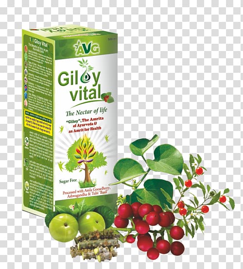 Juice Health Apple cider vinegar Medicine Herb, juice transparent background PNG clipart
