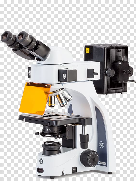 Fluorescence microscope Stereo microscope Petrographic microscope, microscope transparent background PNG clipart
