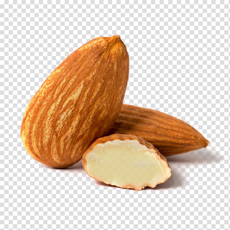 Nut Almond Android Madeleine, almond transparent background PNG clipart