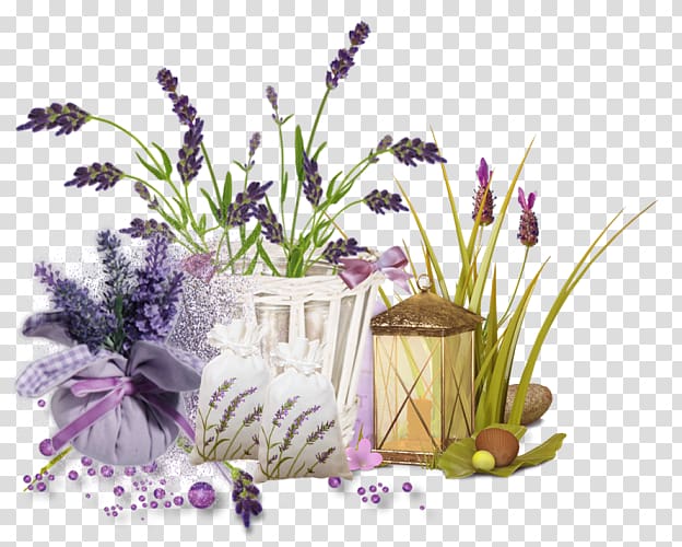 English lavender Cut flowers French lavender Plant, flower transparent background PNG clipart
