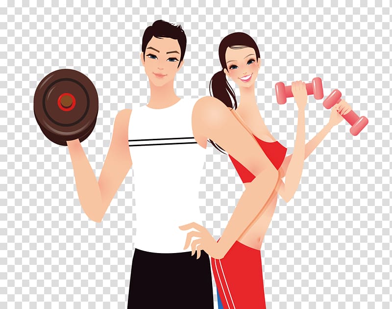 Woman exercising holding dumbbells, Fitness Centre Physical fitness  Personal trainer Weight loss Weight training, gym transparent background PNG  clipart