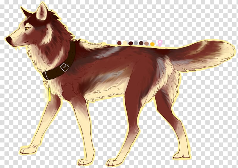 Dog breed Siberian Husky Dingo Dhole African wild dog, others transparent background PNG clipart