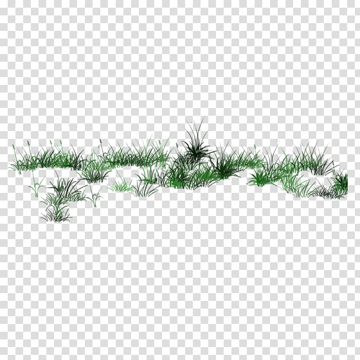 Transparency and translucency ICO Icon, grass transparent background PNG clipart