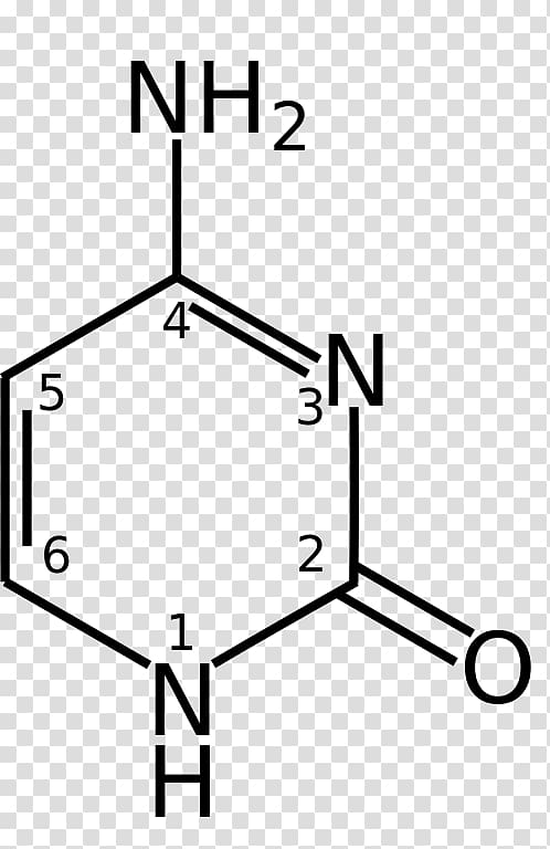 5-Methylcytosine Nucleobase Guanine Thymine, others transparent background PNG clipart