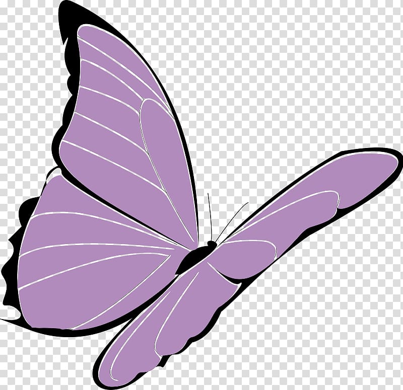 Butterfly Purple Violet , Papillon transparent background PNG clipart