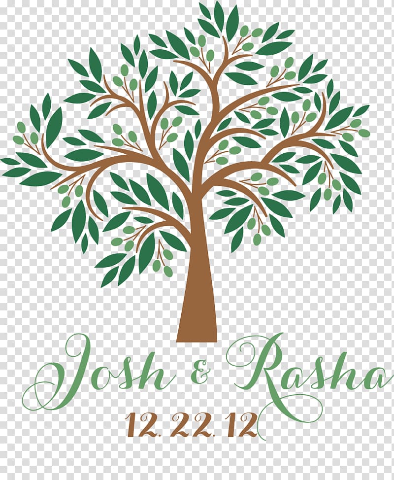 Olive branch Tree , branch invitation transparent background PNG clipart
