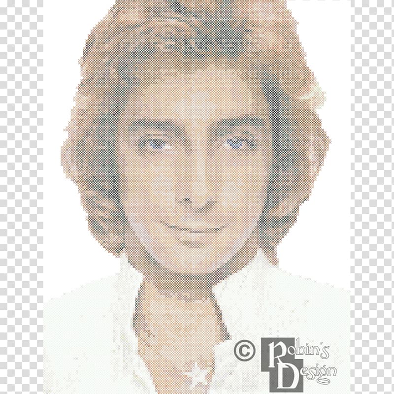 Barry Manilow Greatest Hits Album Manilow Magic Phonograph record, cross stitch pattern transparent background PNG clipart