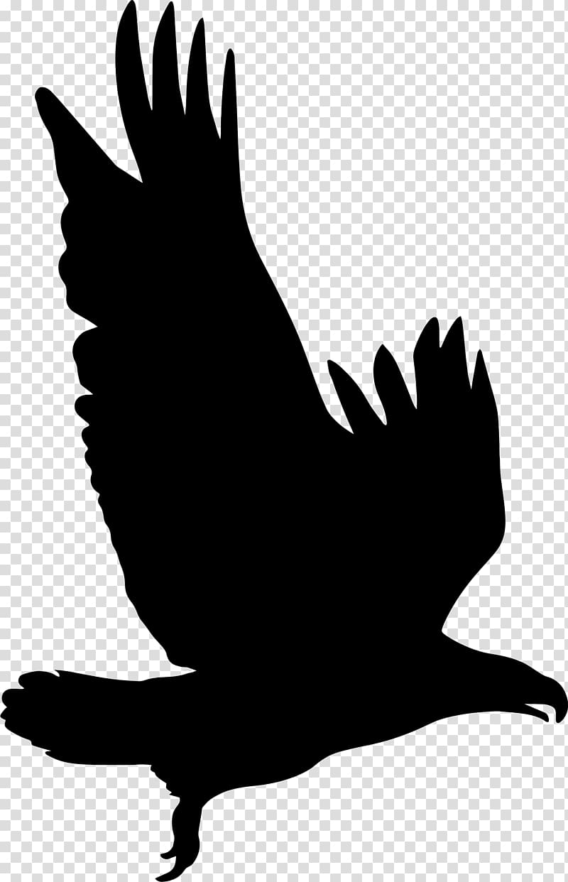 Silhouette Eagle , eagle transparent background PNG clipart