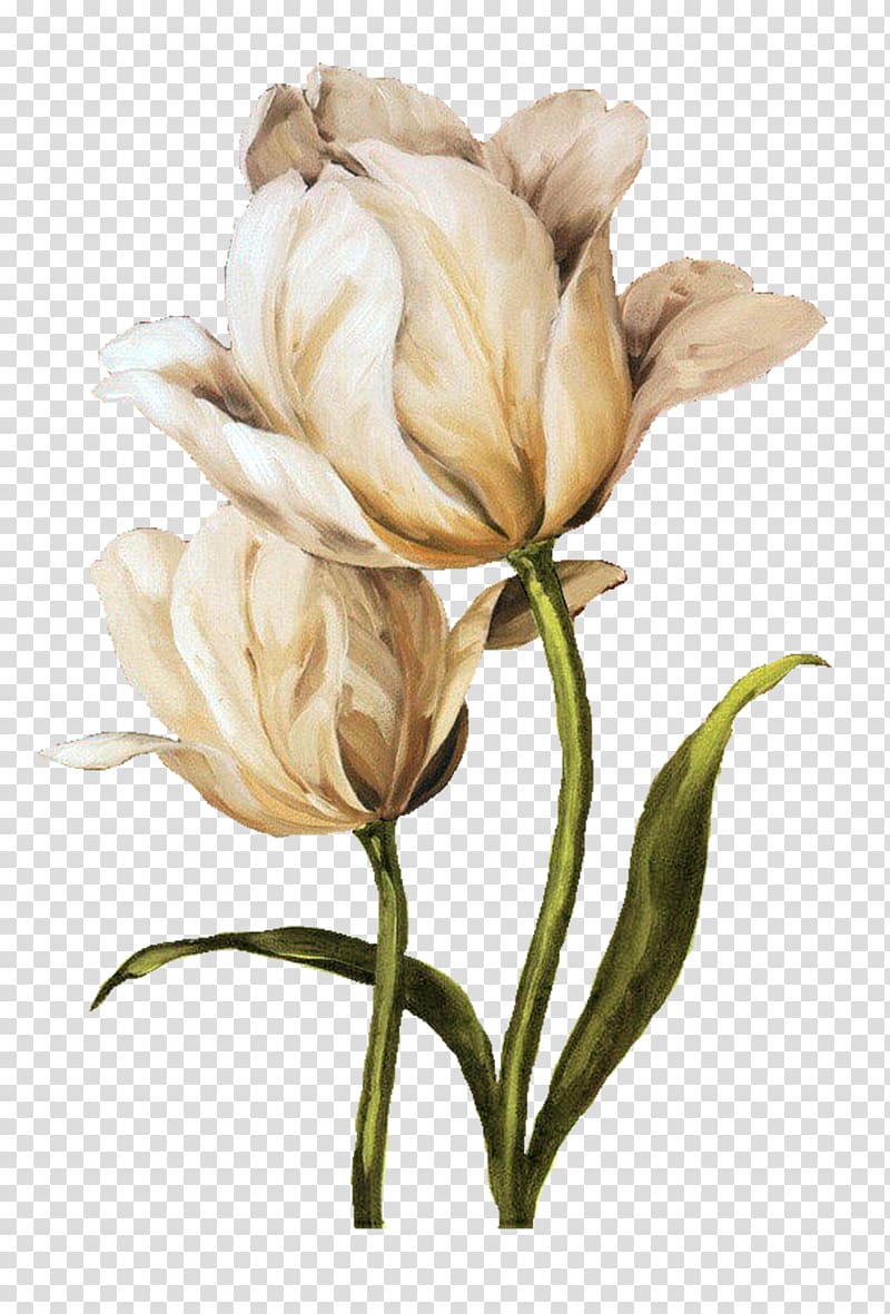 Flower Amycus Carrow Painting Alecto Carrow, Floral design Watercolor painting Flower transparent background PNG clipart