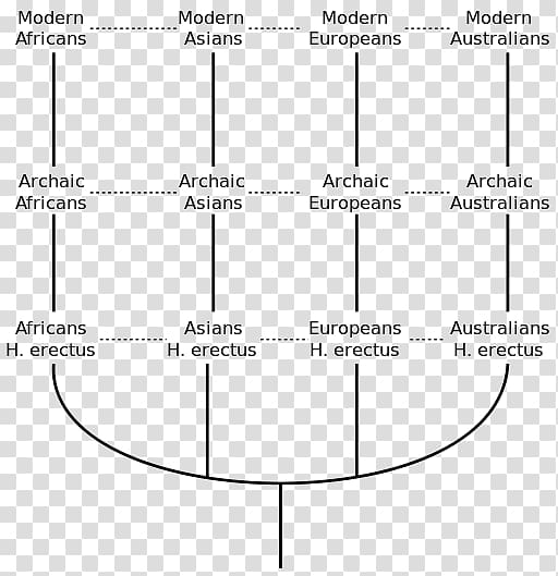 Multiregional origin of modern humans Recent African origin of modern humans Human evolution Homo sapiens Archaic humans, science transparent background PNG clipart