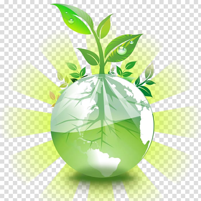 Earth Student , Dozen transparent background PNG clipart