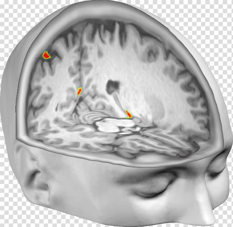 Out-of-body experience Brain Neuroscience Neuroimaging, Brain transparent background PNG clipart