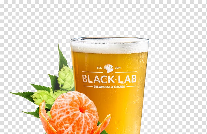 Beer BlackLab Brewhouse & Kitchen Orange drink Blond Ale Food, beer transparent background PNG clipart
