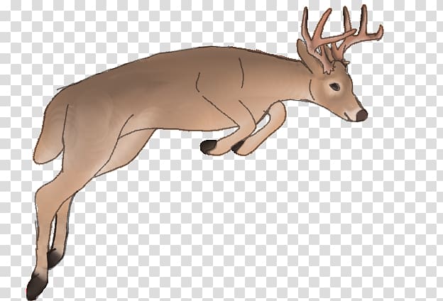 Reindeer White-tailed deer Elk Cattle, its snowing transparent background PNG clipart