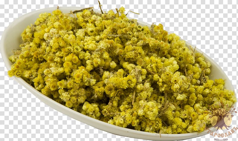 Helichrysum arenarium Raw material Herb Vegetarian cuisine Vladimir, Helichrysum transparent background PNG clipart
