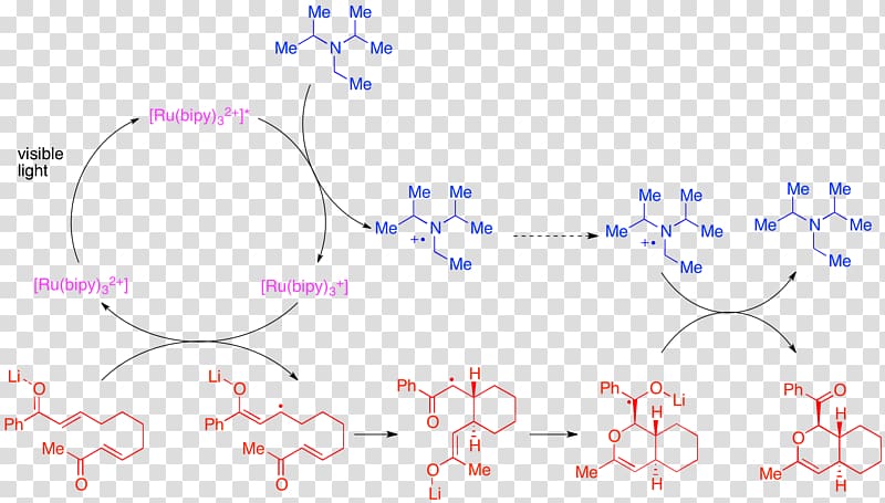 redox catalysis Tris(bipyridine)ruthenium(II) chloride 2,2\'-Bipyridine Phenanthroline Acetophenone, others transparent background PNG clipart