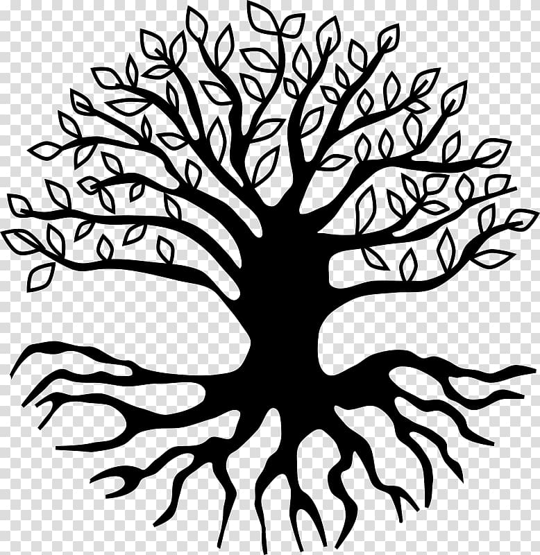 black tree of life , Root Tree , tree roots transparent background PNG clipart