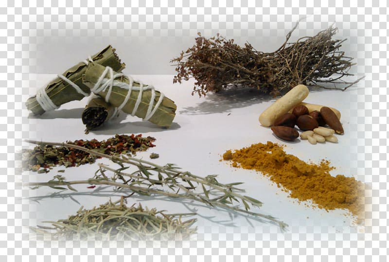 Fines herbes Spice mix Marjoram, spice transparent background PNG clipart