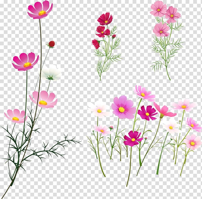 Rangoli Damask rose Art, design transparent background PNG clipart