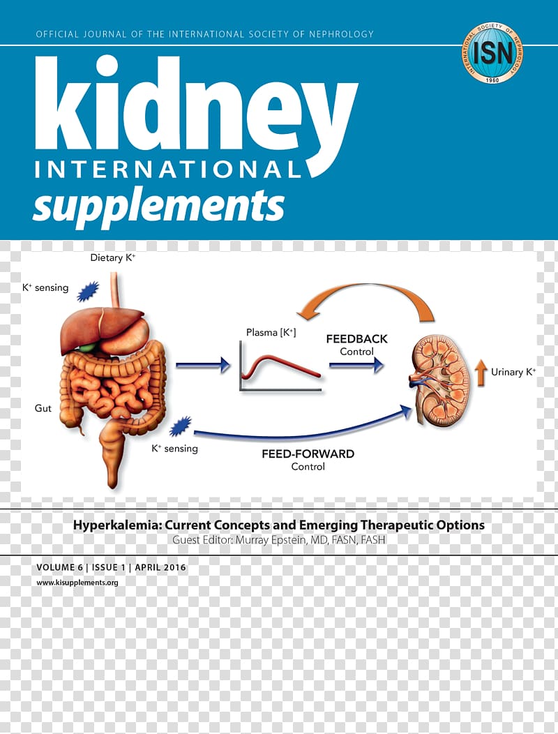 Dietary supplement Kidney International Kidney Disease: Improving Global Outcomes International Society of Nephrology Chronic kidney disease, others transparent background PNG clipart