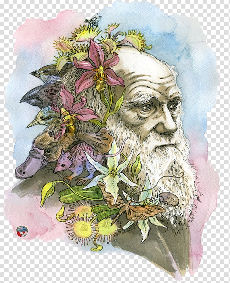 The Beak of the Finch: A Story of Evolution in Our Time The Voyage of the Beagle The Theory of Evolution Darwin Day, scientist transparent background PNG clipart