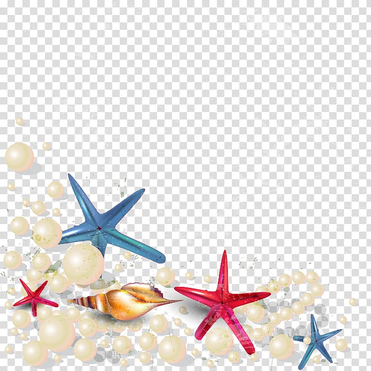 Starfish , beach transparent background PNG clipart