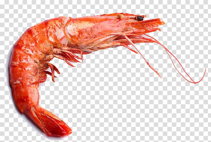 Crab Shrimp Prawn Seafood, Tiger Prawn transparent background PNG clipart