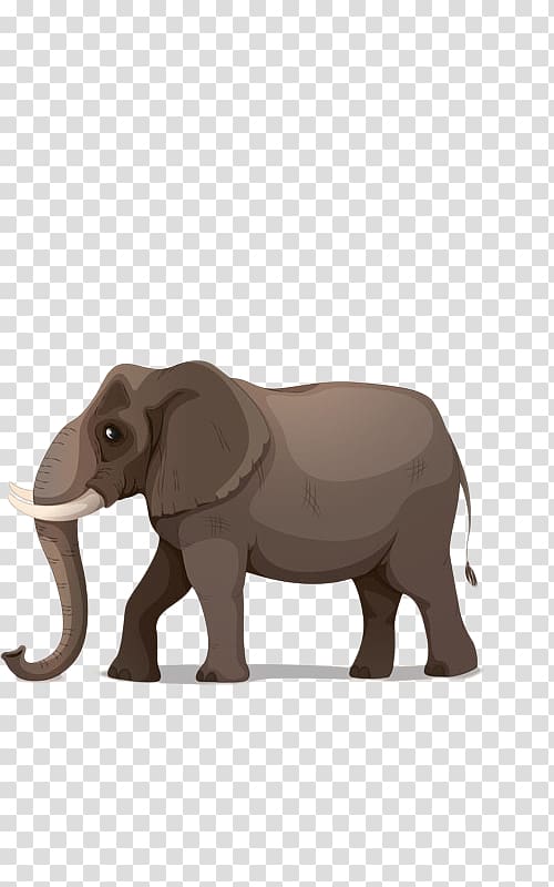 African elephant Cartoon Illustration, Elephant transparent background PNG clipart