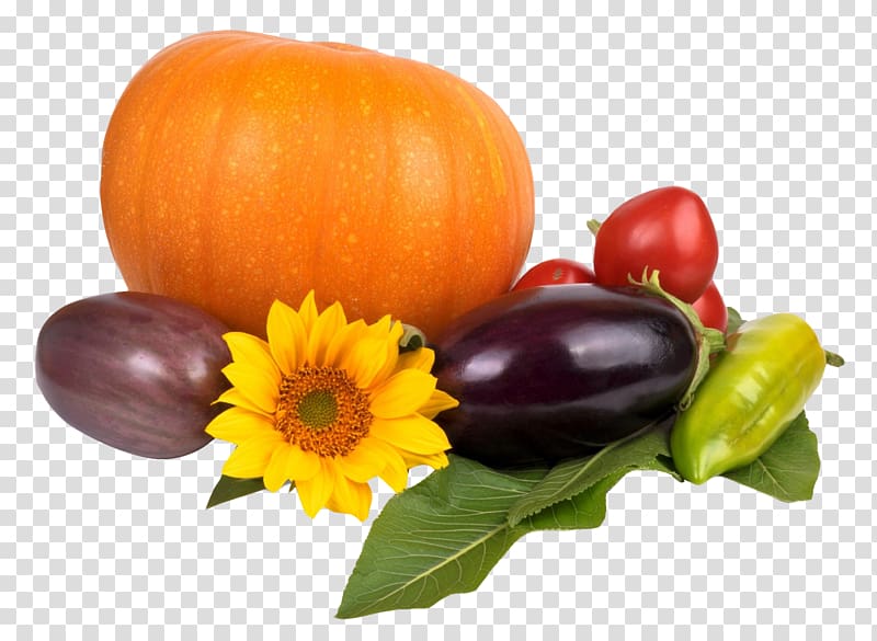 Pumpkin Capsicum annuum Vegetarian cuisine Calabaza Eggplant, Pumpkin Tomato Pepper Eggplant transparent background PNG clipart