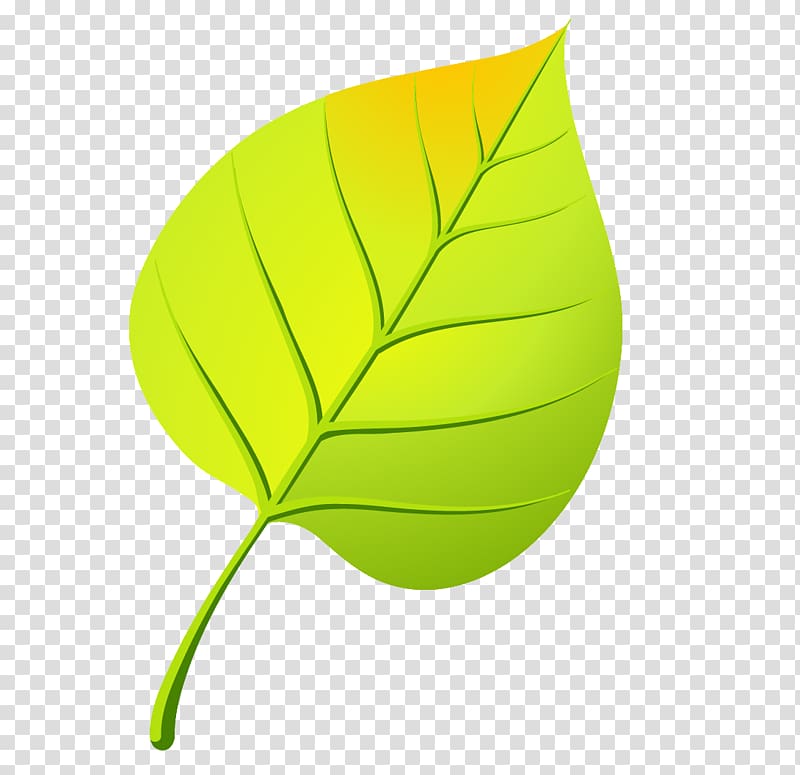 Leaf Drawing Осенние листья , Leaf transparent background PNG clipart