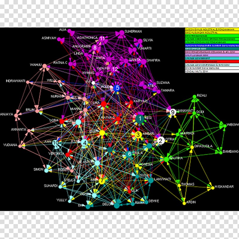 Social network analysis Organization Interpersonal relationship Social influence, social network transparent background PNG clipart
