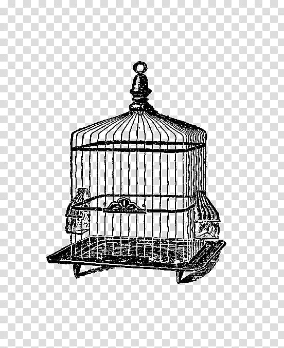 Birdcage Domestic canary Birdcage , bird cage transparent background PNG clipart