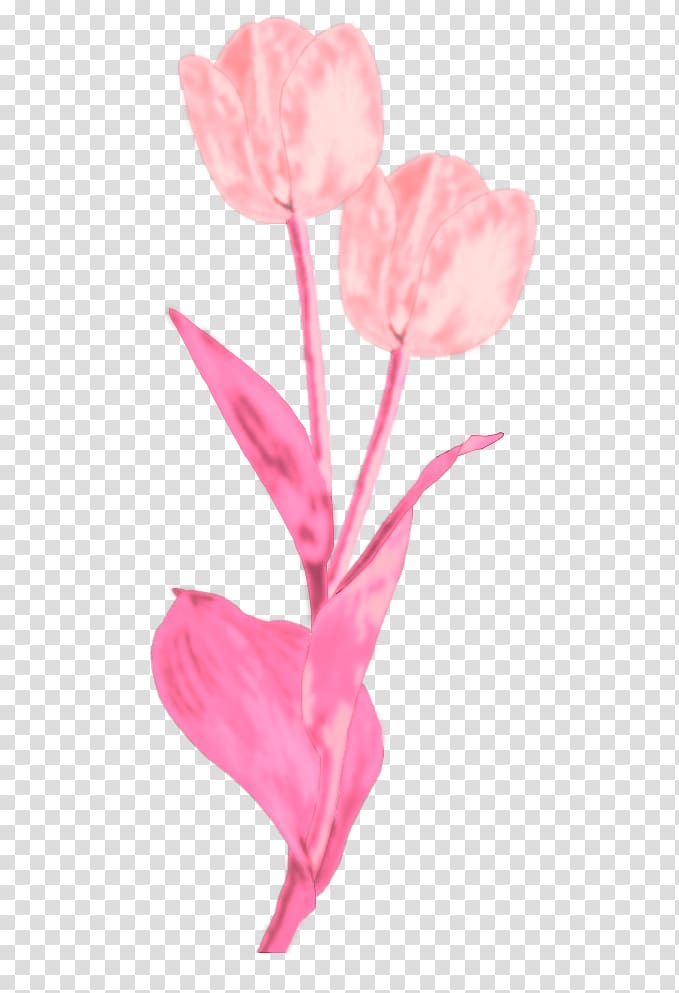 Tulip Cut flowers Rose family Petal Plant stem, watermark flowers transparent background PNG clipart