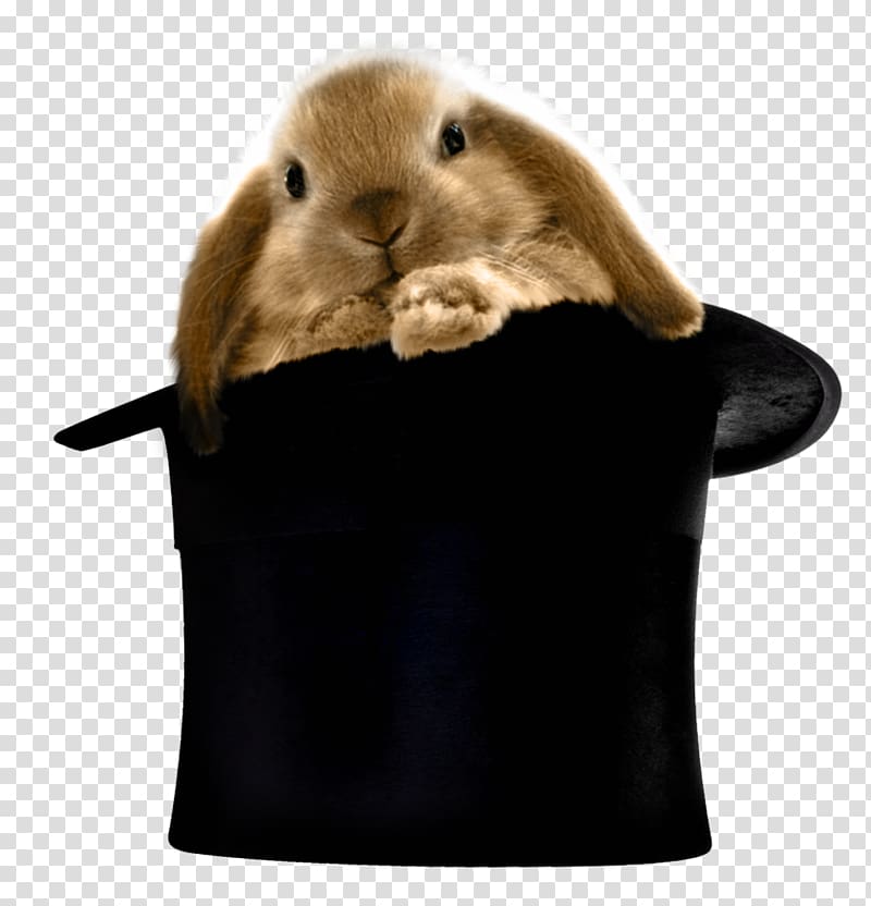 brown rabbit on black hat illustration, Top hat Rabbit hair Clothing, Rabbit in Hat transparent background PNG clipart