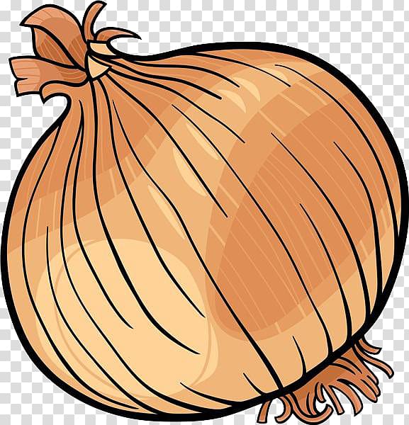 brown onion art, Onion Vegetable Black and white , Cartoon onion material transparent background PNG clipart