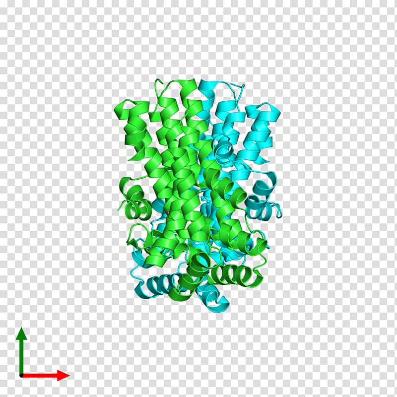 Protein Data Bank in Europe (PDBe) Cryptochrome European Bioinformatics Institute, Geranylgeranyl Pyrophosphate transparent background PNG clipart