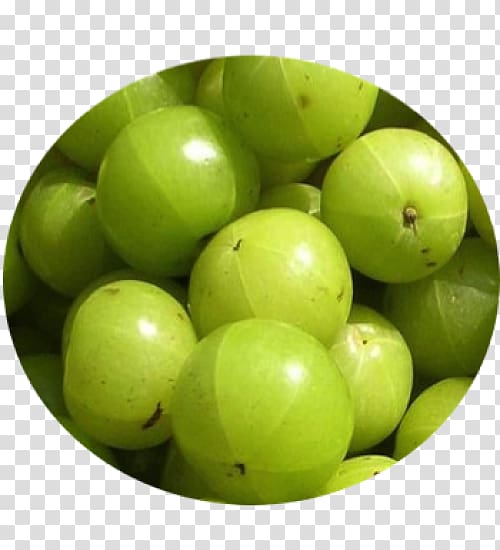 Indian gooseberry Health Food, India transparent background PNG clipart
