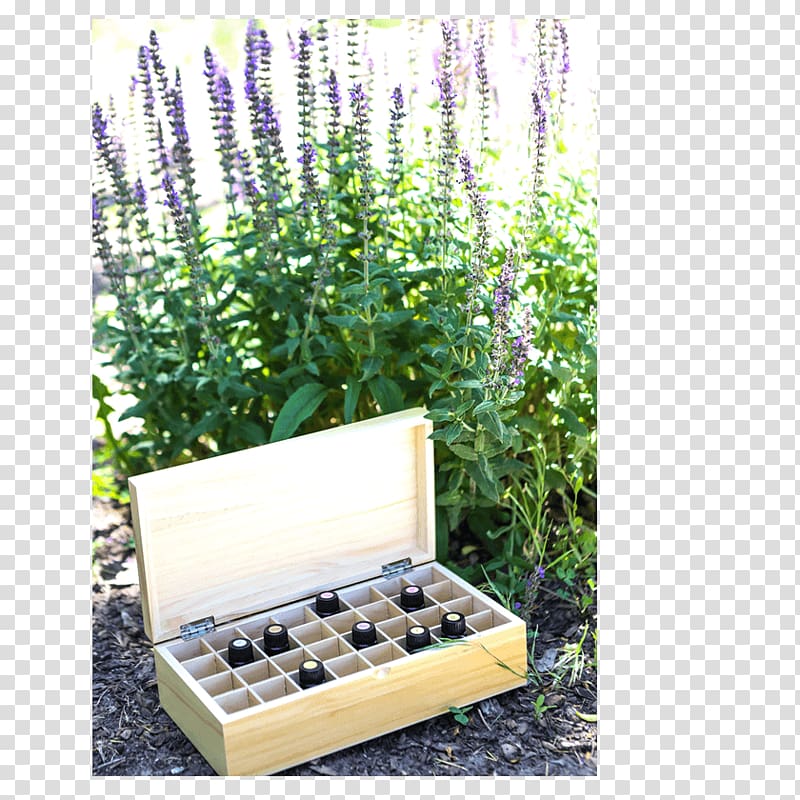 Essential oil Lavender Box Rocky Mountain Oils, wooden box transparent background PNG clipart