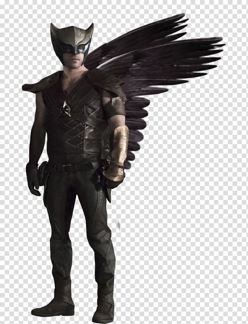 Hawkman Hawkgirl Green Arrow Atom Rip Hunter, hawkman transparent background PNG clipart