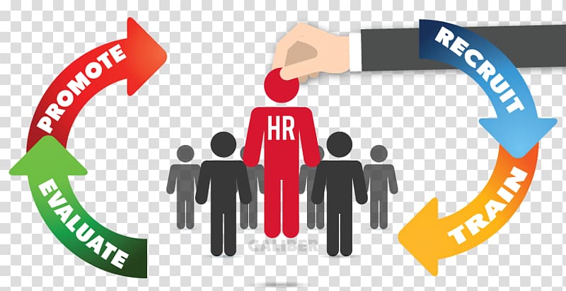 Human resource management system Human resource management system, human resource Management transparent background PNG clipart