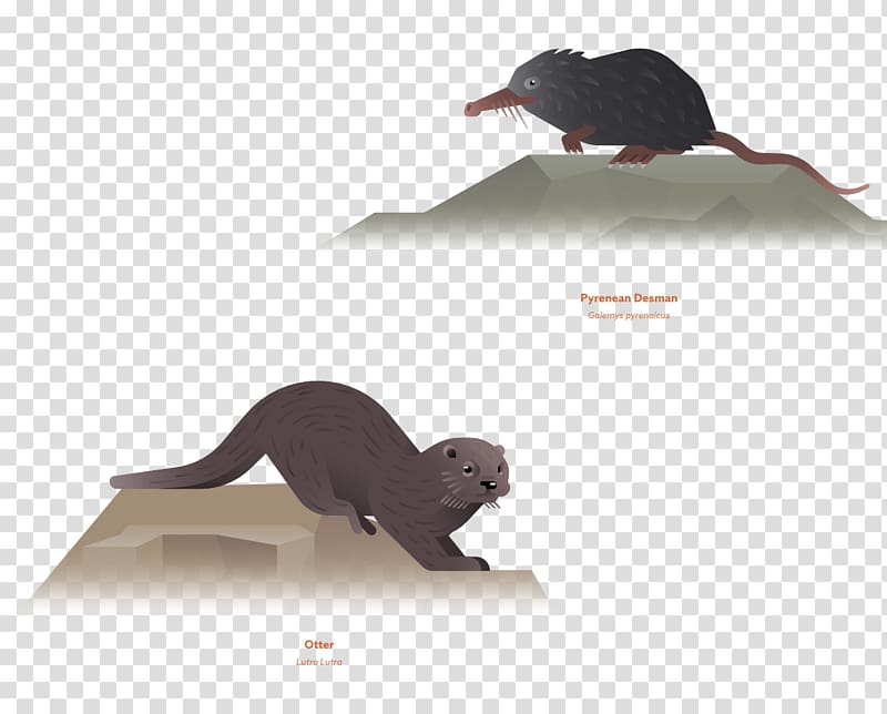 Rat Mouse Illustration, Lai rat painted animals, water transparent background PNG clipart