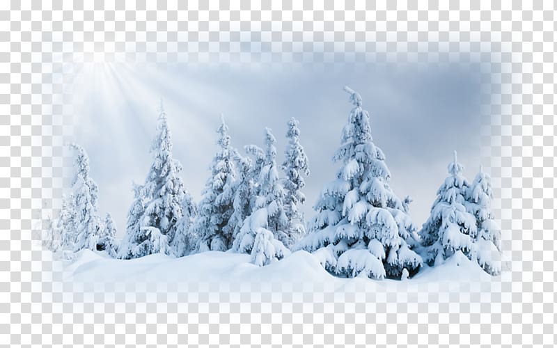 Ultraviolet Winter Snow , winter transparent background PNG clipart