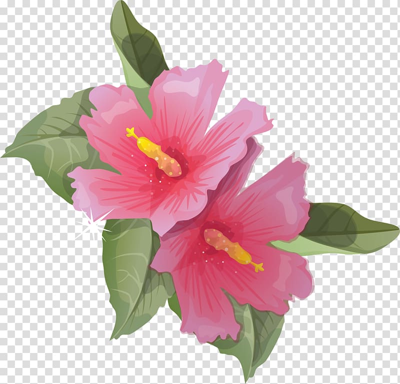 Hibiscus Animation Flower , Flowers transparent background PNG clipart